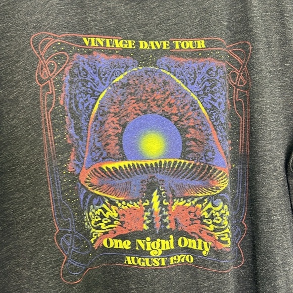 Bella & Canvas - Vintage Dave Tour One Night Only Graphic Dark Gray T Short LG - Picture 7 of 9